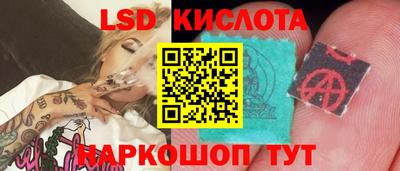 стаф Тара