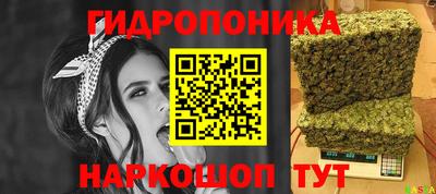 стаф Тара