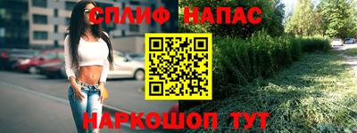 стаф Тара