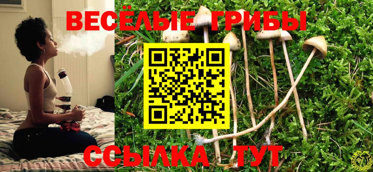 Ярцево  Псилоцибиновые грибы прущие грибы  Вход с VPN 